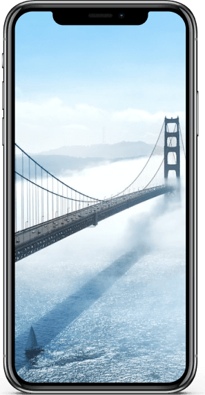 project showcase image