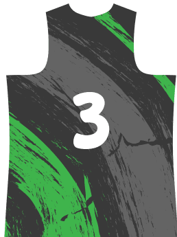 project showcase image